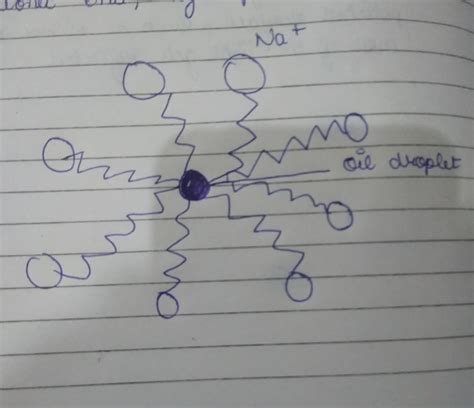 Explain mechanism of cleansing action of soaps - Brainly.in