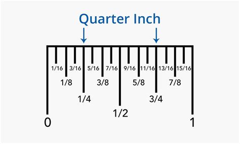 Printable Quarter Inch Ruler at Loretta Hensley blog