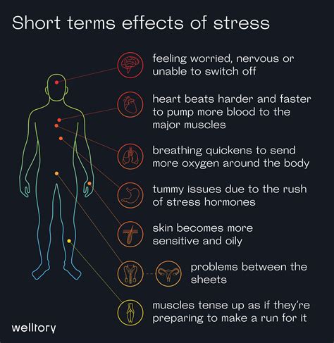 Stress & Energy. Tracking and reducing stress with Welltory HRV