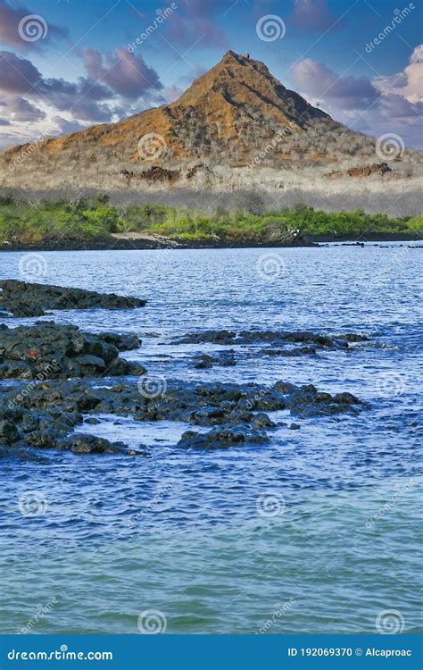 Islas Galápagos Parque Nacional Galapagos Ecuadora Foto de archivo ...