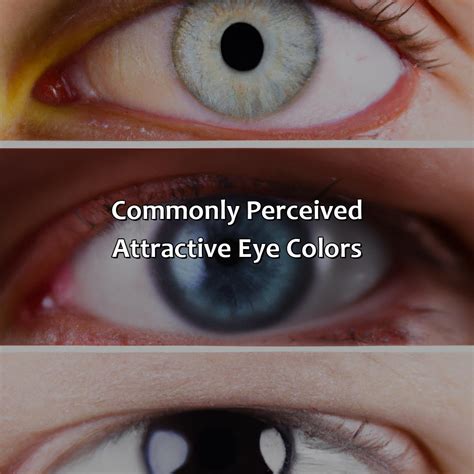 Top 10 Most Attractive Eye Colour at Matthew Greeves blog