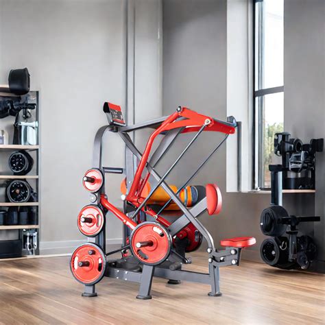 Image result for Low Row Back Machine