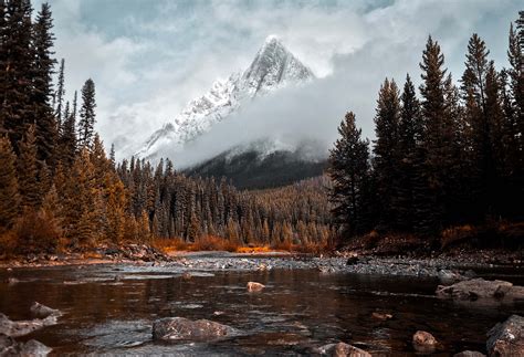 Mobile Phone Photography Ideas 的图像结果