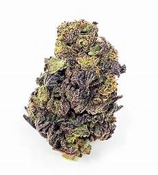 purple urkle strain purple urkle og monkey cannabis london ontario 100 free delivery service purple urkle strain purple urkle og monkey cannabis london ontario 100 free delivery service
