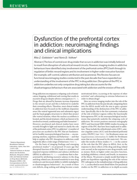 Image result for Prefrontal Cortex Addicted Brain