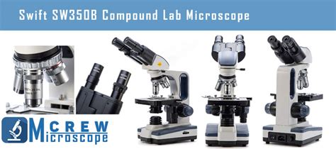 Image result for Compound Microscope Reviews