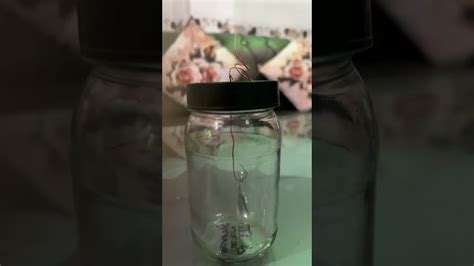 Image result for Electroscope Science Project