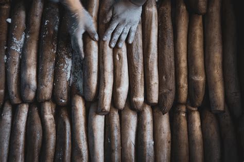 Norte Carta | Neighbors Food Market