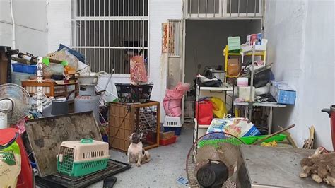 租客欠租消失「留下50隻品種狗」 疑聲帶遭割 - 民視新聞網