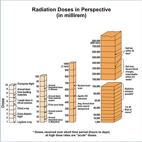 Radiation Scale Chart 的图像结果