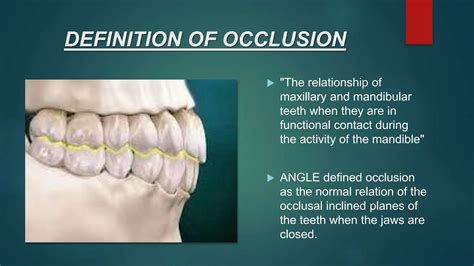 Dentistry pptx on topic of normal occlusion | PPTX