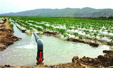 农田灌溉时,经土渠输送,沿途损失的水量一般要占到输水量的50%~60%.怎样才能提高水的利用