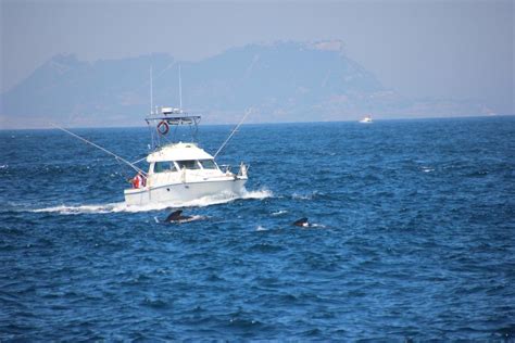 The season 2013 – a retrospective view