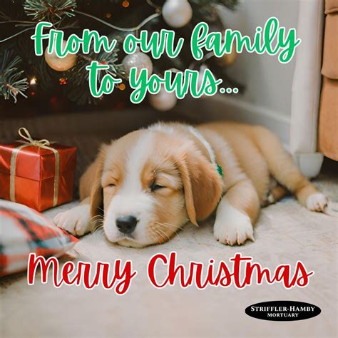 Striffler-Hamby Mortuary - LaGrange | LaGrange GA