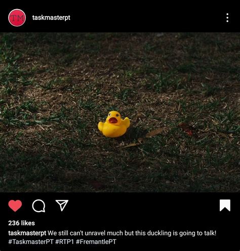 Image result for Taskmaster Flipper Flour Task