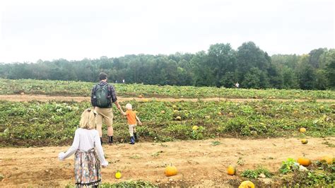 Happyly: Ashland Berry Farm