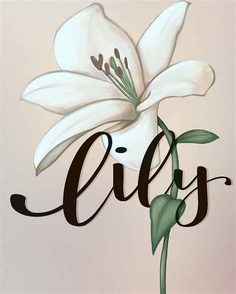 Best 12 Calligraphy art lily pretty simple didnt take much time – Artofit