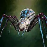 File:Portrait Aranea Aculeata.png - bg3.wiki