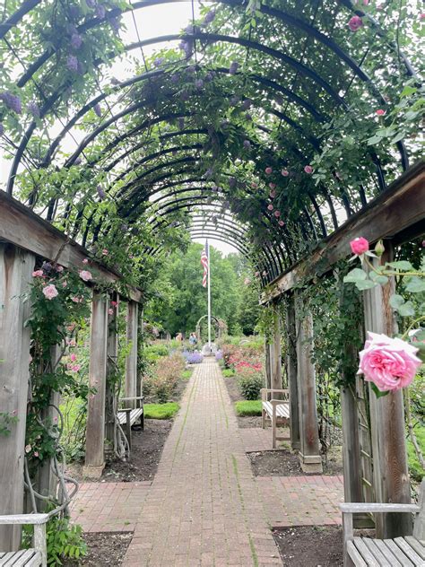 Things to Do in Arlington, VA: Bon Air Rose Garden | Stripes and Whimsy