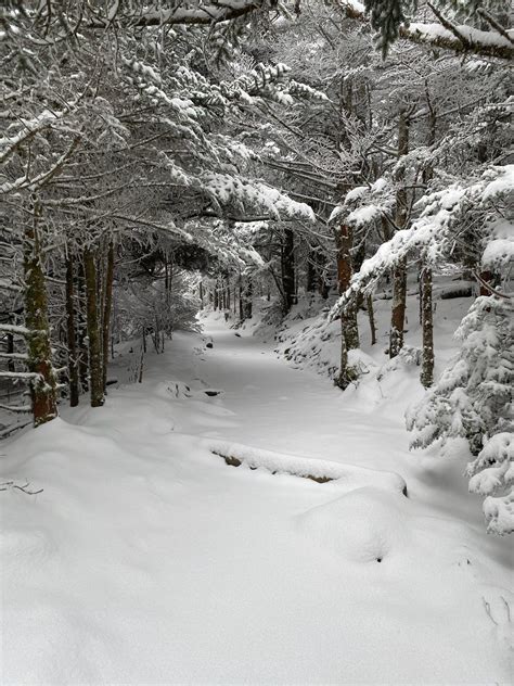 Mount LeConte weather: See the snowy sights from LeConte Lodge