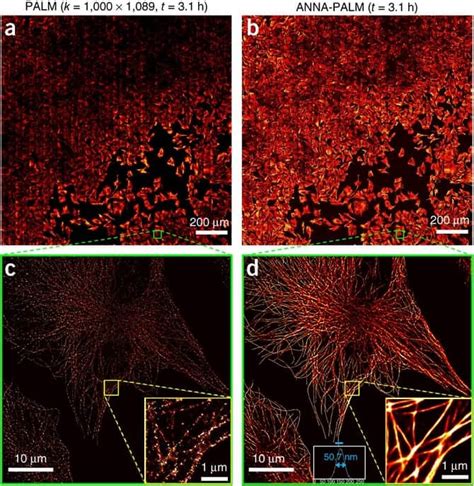 Image result for Super-Resolution Microscopy