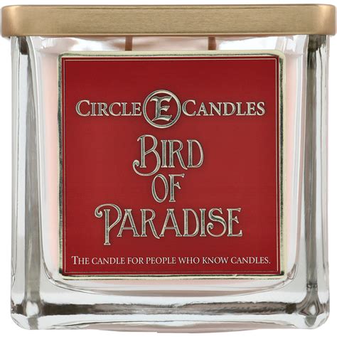 Circle E Candles Bird Of Paradise Scented Candle - Shop Candles at H-E-B
