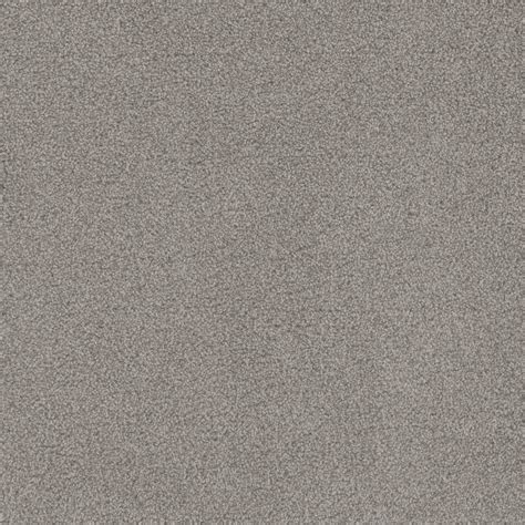 Garden Hedge — Beach Club II by DreamWeaver | Clear Choice Flooring ...