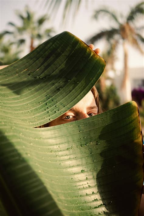 Banana Leaf Photos, Download The BEST Free Banana Leaf Stock Photos & HD Images