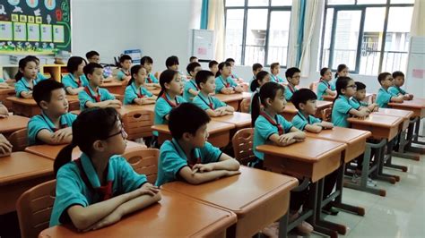 佛山外国语学校国际部2023年招生政策
