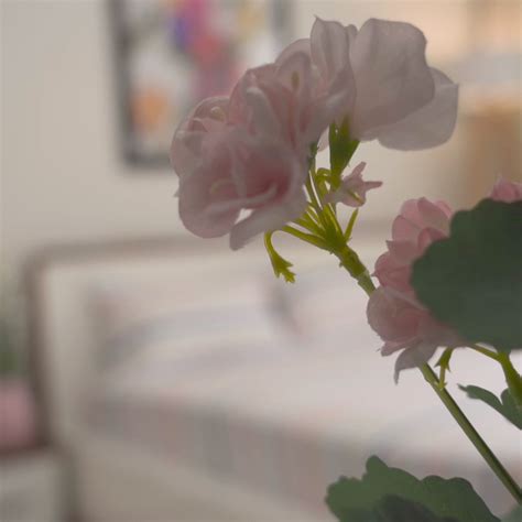 Magical Stripes 100% Cotton King Size Bedsheet, 186 TC, Blue and Yello ...