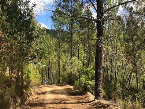 ENDLESS PATH (2026) All You Need to Know BEFORE You Go (with Photos ...