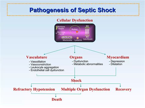 Sepsis And Septic Shock | PPT