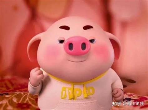 2019年属猪宝宝取名起名：带众字好听的名字大全！ - 知乎