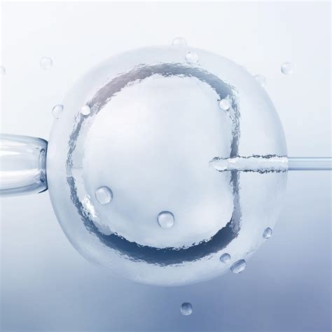 Image result for In Vitro Reproduction