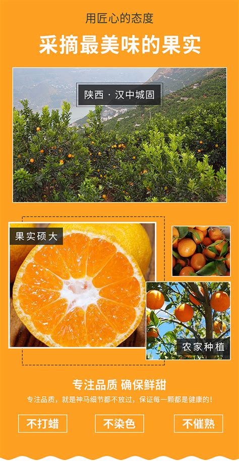 挑花了眼！近二十种柑橘橙子齐上市，专家：下月口感更好性价比最高-荆楚网-湖北日报网