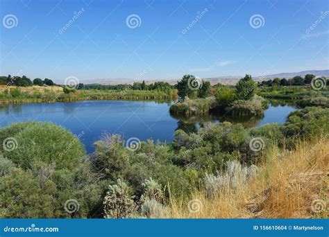 Hyatt Hidden Lakes Reserve, Boise, Idaho Stock Photo - Image of ...