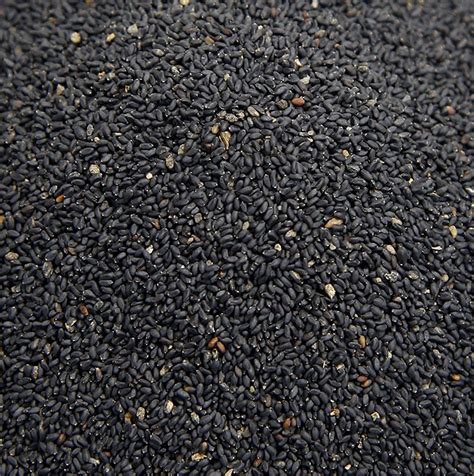 basil seeds, 1 kg, bag | GOURMET VERSAND Online Shop