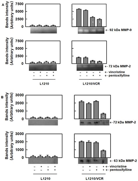 Potentiation of Anticancer Drugs: Effects of Pentoxifylline on ...