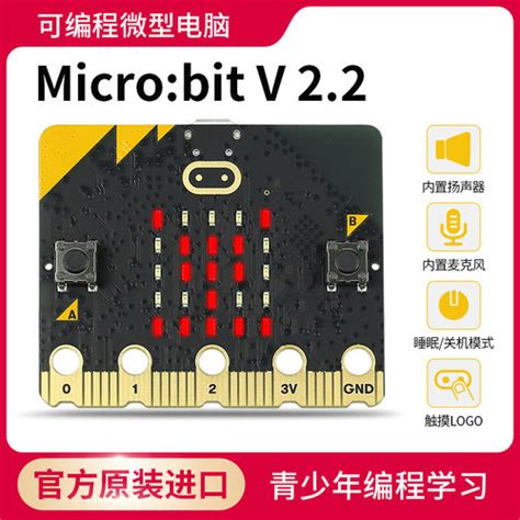 Micro Bit Module 的图像结果