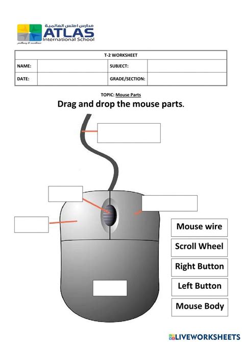 Image result for Computer Science Comprehension Worksheets PDF