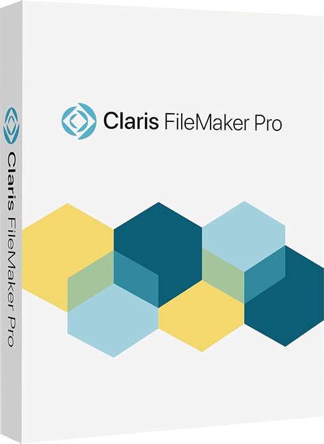 FileMaker Pro 19 Tutorial 的图像结果