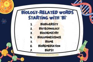 Full List Of Words That Start With Bi + Examples [2025] - Phoenix English