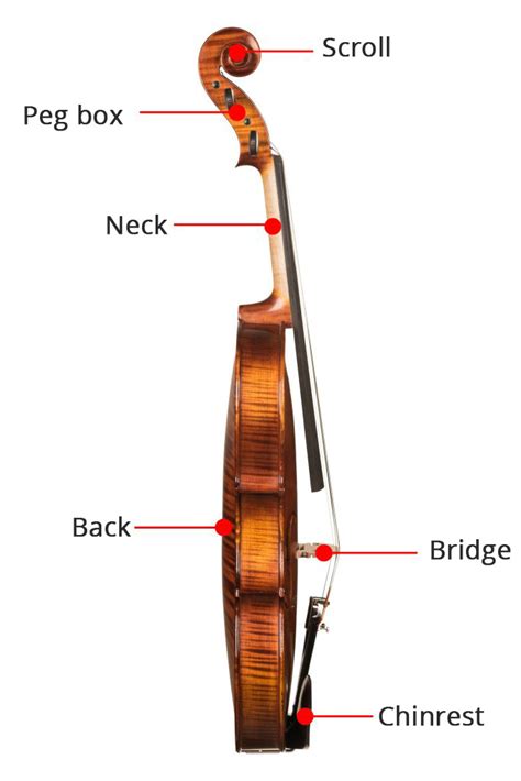 Image result for Viola Tuning Tutorial