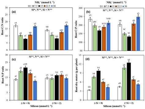 Silicon-Mediated Adjustments in C:N:P Ratios for Improved Beetroot ...