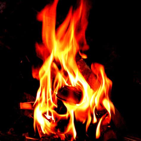 Stream Fired Up Marshmello X Fireman Lil Wayne by Danny Haze | Listen ...