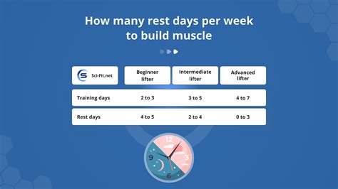 Are Rest Days Important Bodybuilding at Betty Finkelstein blog