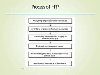 Image result for HRP Process Explained