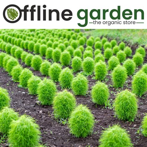 Offline Garden - Products