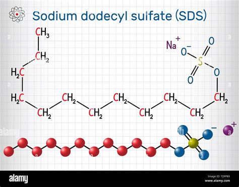 Sodium dodecyl sulfate SDS , sodium lauryl sulfate SLS molecule. It is ...