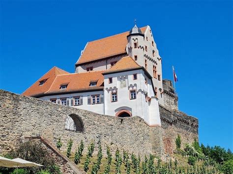 BURG ALZENAU (2026) All You Need to Know BEFORE You Go (with Reviews ...